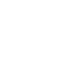 phone-solid